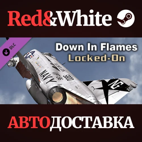 Down in Flames: Locked-On DLC * STEAMАВТОДОСТАВКА