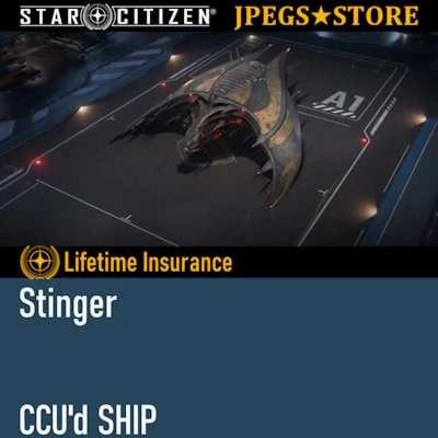 Stinger - LTI - CCU'd Ship