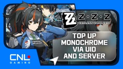 Zenless Zone Zero — монохромный — через UID и сервер