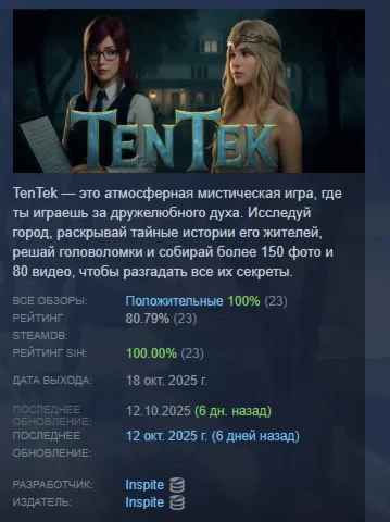 Ten Tek АВТОДОСТАВКА STEAM РОССИЯ
