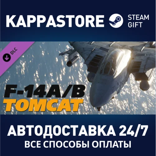 DCS: F-14 by Heatblur Simulations DLC | Steam Gift Росс