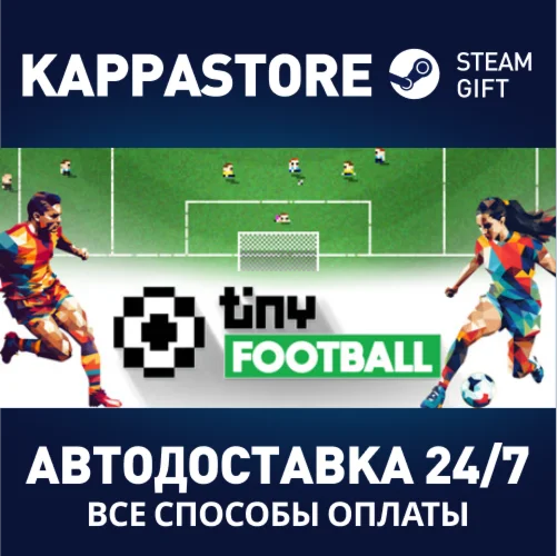 Tiny FootballАВТОДОСТАВКА Steam Россия