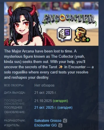 Encounter: The Lost Cards АВТОДОСТАВКА STEAM РОССИЯ