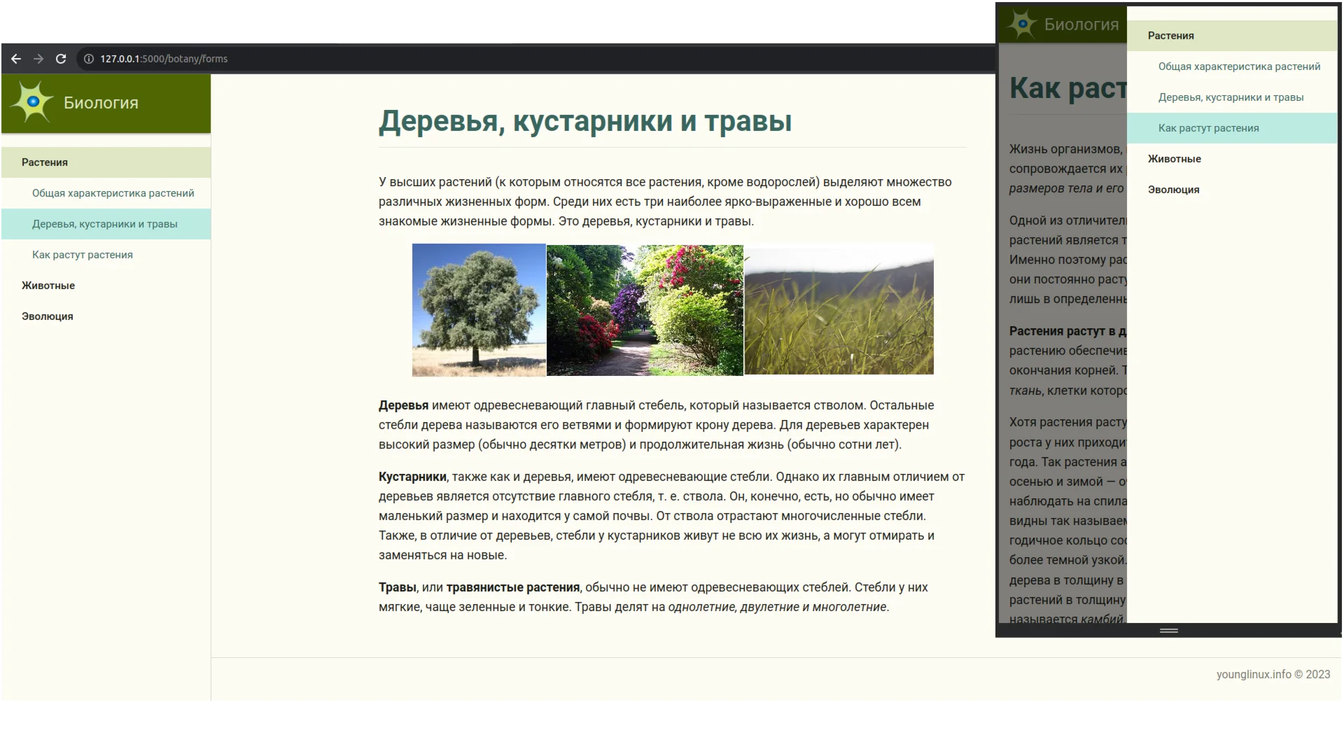 Меню-аккордеон, без базы данных