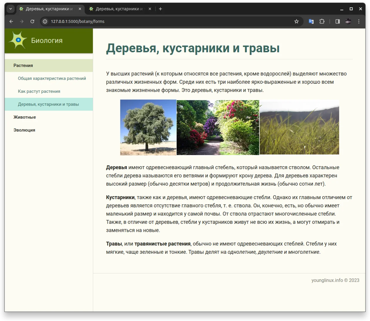 Меню-аккордеон, с базой данных SQLite