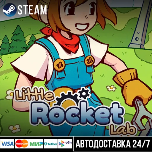 Little Rocket Lab СТИМ Steam Gift