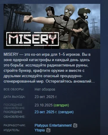 MISERY АВТОДОСТАВКА STEAM РОССИЯ