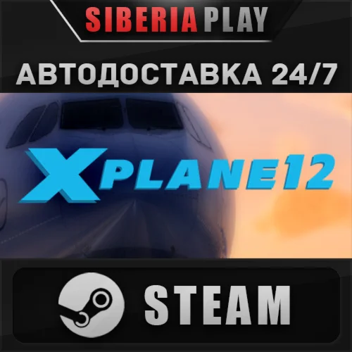 X-Plane 12 STEAM АВТО RU/UA/KZ/СНГ