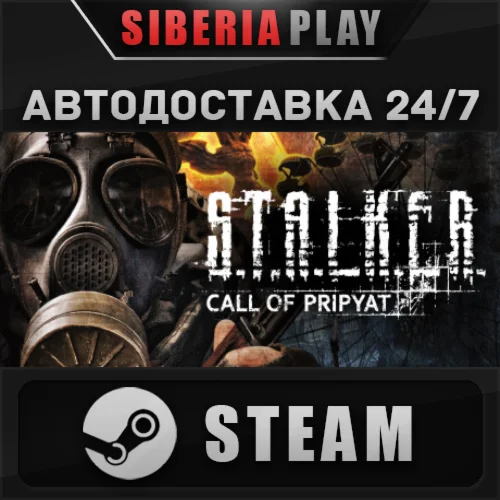 S.T.A.L.K.E.R.: Call of Pripyat STEAM AUTO RU/UA/KZ/CIS