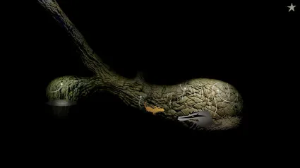 Samorost 2 ✅ STEAM GIFT AUTO ✅ RU+МИР