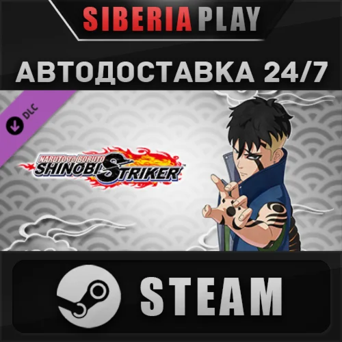 NTBSS Master Character Training Pack - Kawaki DLC STEAM