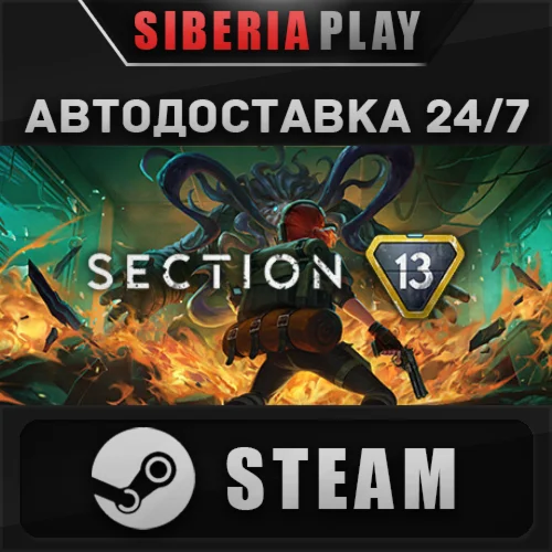 Section 13 STEAM АВТО RU/UA/KZ/СНГ
