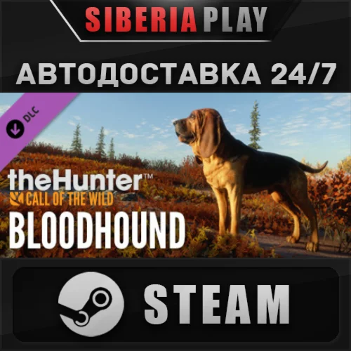 theHunter: Call of the Wild™ - Bloodhound DLC*STEAM