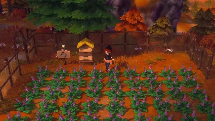 STORY OF SEASONS: Grand Bazaar - Pine Hoverfly Set DLC