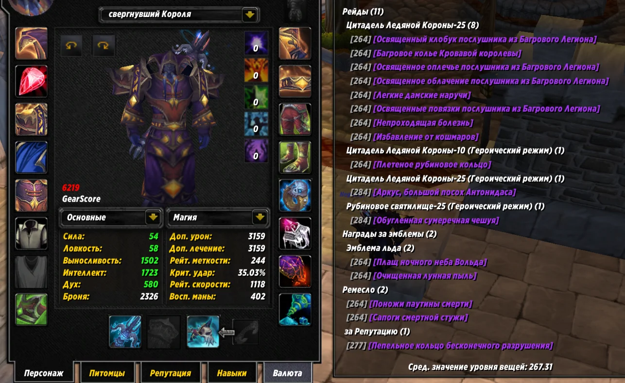 №317 х100 Альянс. Жрец 6219гс PvE шп