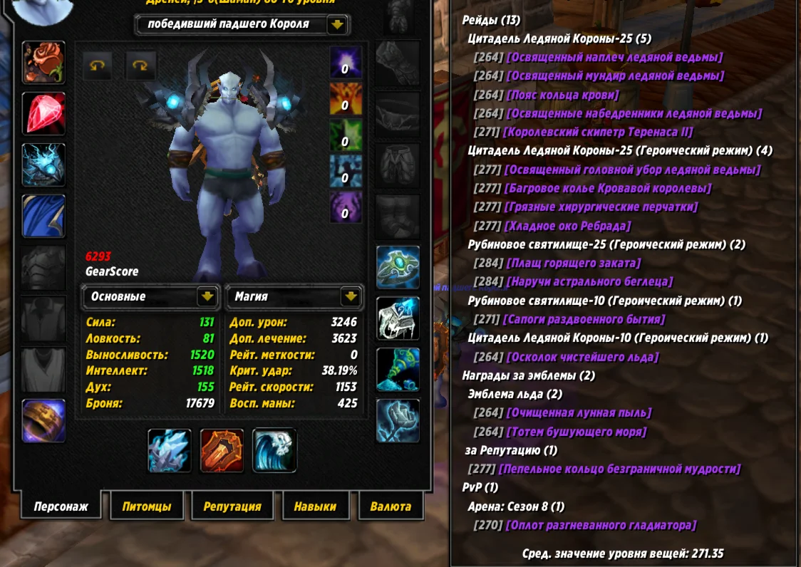 №319 х100 Альянс. Шаман 6293гс PvE хил