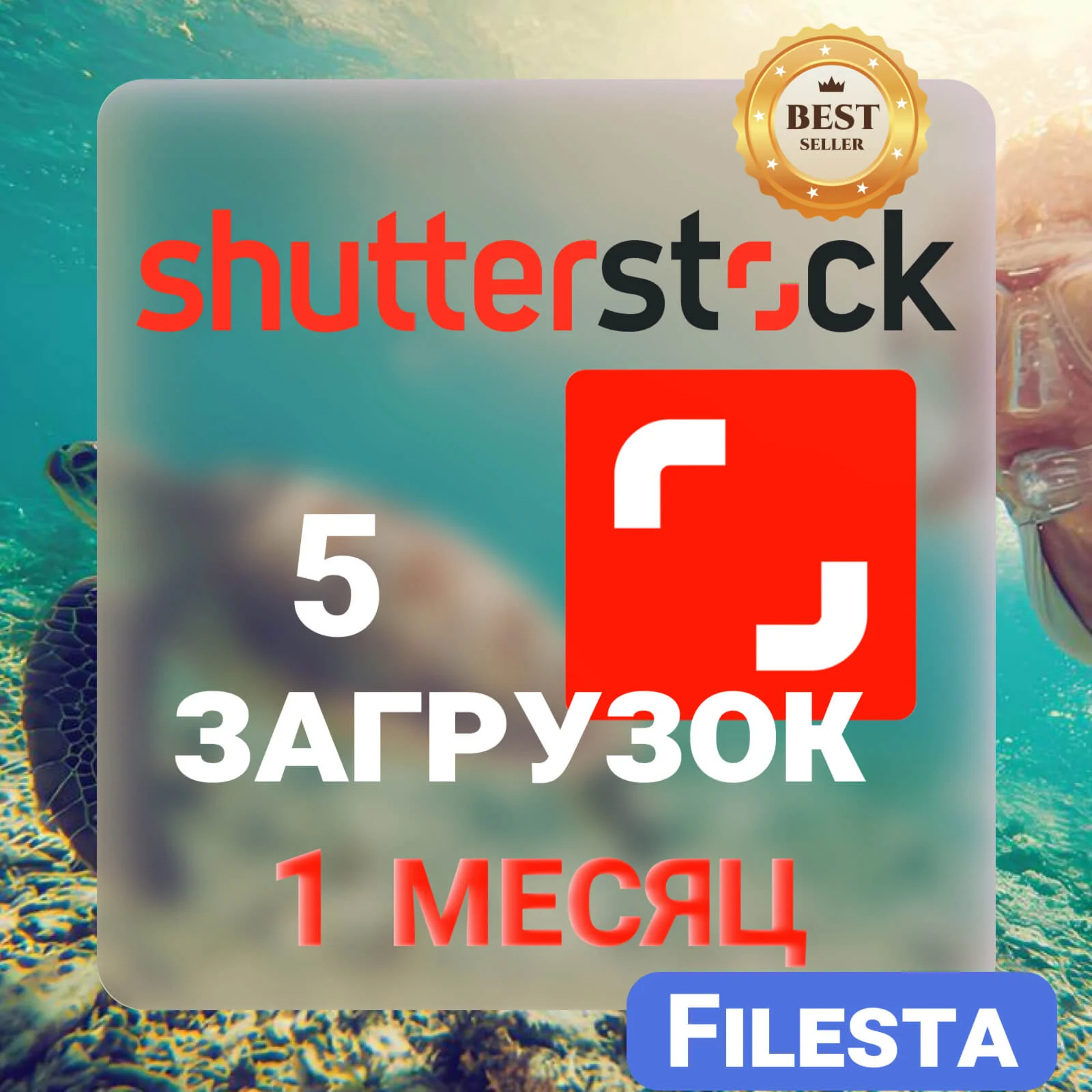SHUTTERSTOCK —30 ДНЕВНАЯ ЛИЦЕНЗИЯ НА ЗАГРУЗКУ  ️