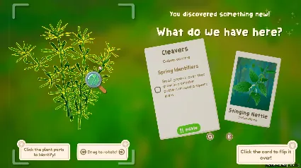 Wholesome - Out and About - STEAM GIFT РОССИЯ