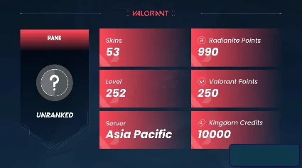 VALORANT | 53 скина | 252 уровень | Полный доступ