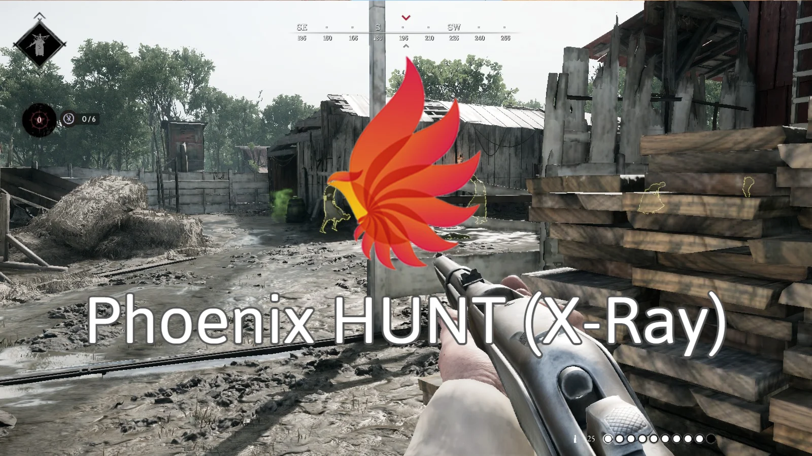 Phoenix HUNT (X-Ray)