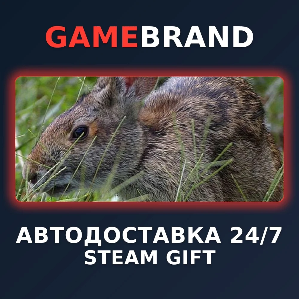 Warhammer 40,000: Dawn of War - Definitive STEAM GIFT