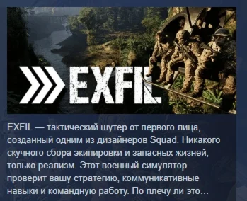 Exfil АВТОДОСТАВКА STEAM РОССИЯ