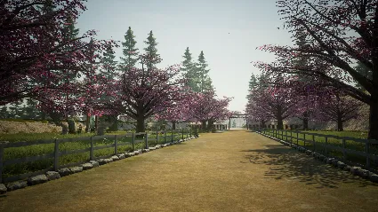Contract Ville - Japanese Furniture Pack DLC