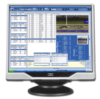 Bet-VRace Greyhounds