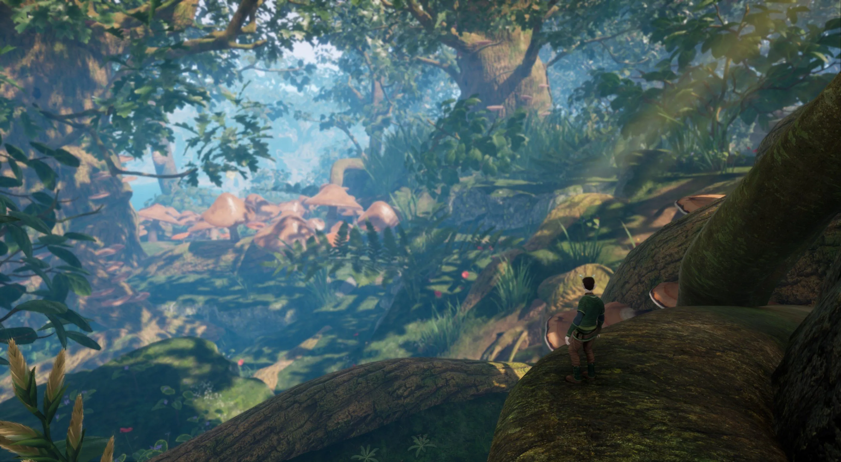 ✅❤️SMALLAND: SURVIVE THE WILDS❤️XBOX SERIES X|S🔑КЛЮЧ✅