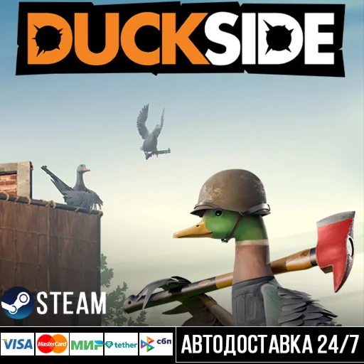 DUCKSIDE СТИМ Steam Gift