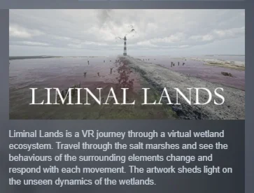 Liminal Lands АВТОДОСТАВКА STEAM GIFT РОССИЯ
