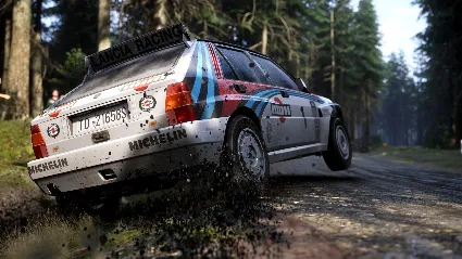 Assetto Corsa Rally | Steam | АВТОВЫДАЧА 24/7
