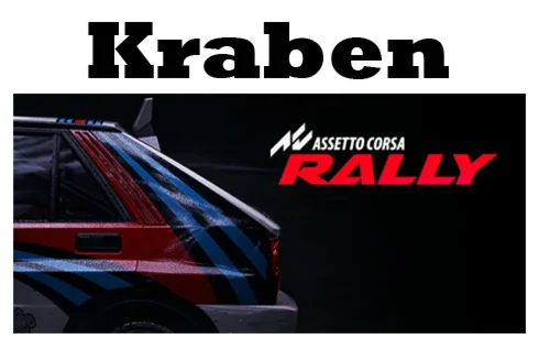 Assetto Corsa Rally steam МИР