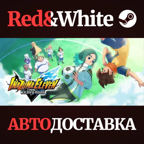 INAZUMA ELEVEN: Victory Road Deluxe-издание