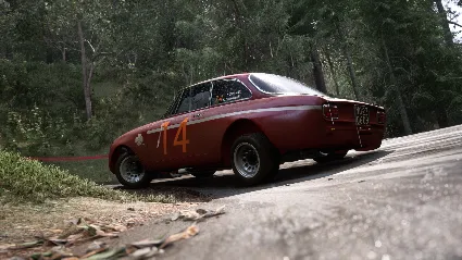 Assetto Corsa Rally * STEAM RU*KZ*UA*СНГ 🔥 АВТОДОСТАВКА