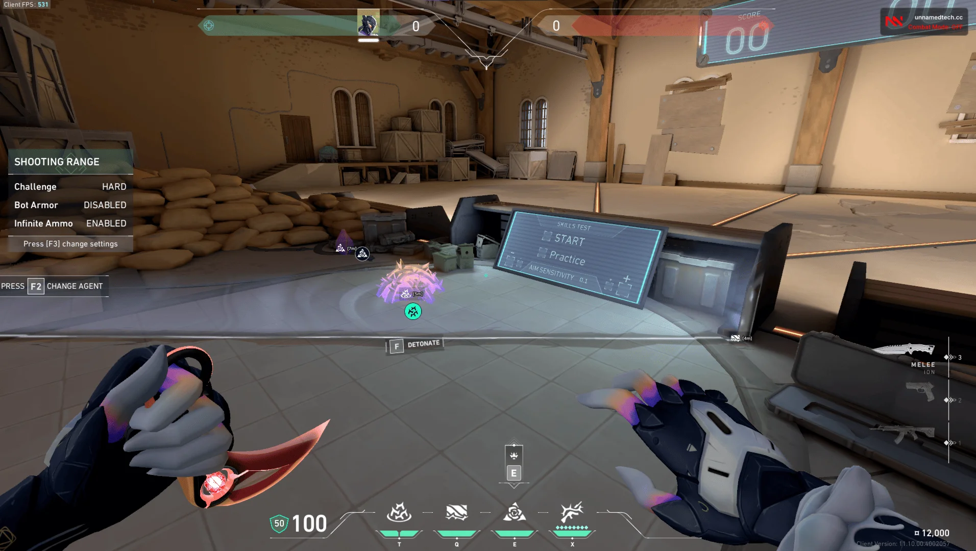 Unnamed Working Cheat for Valorant Game