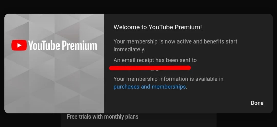 1 |3|12  YOUTUBE ПРЕМИУМ