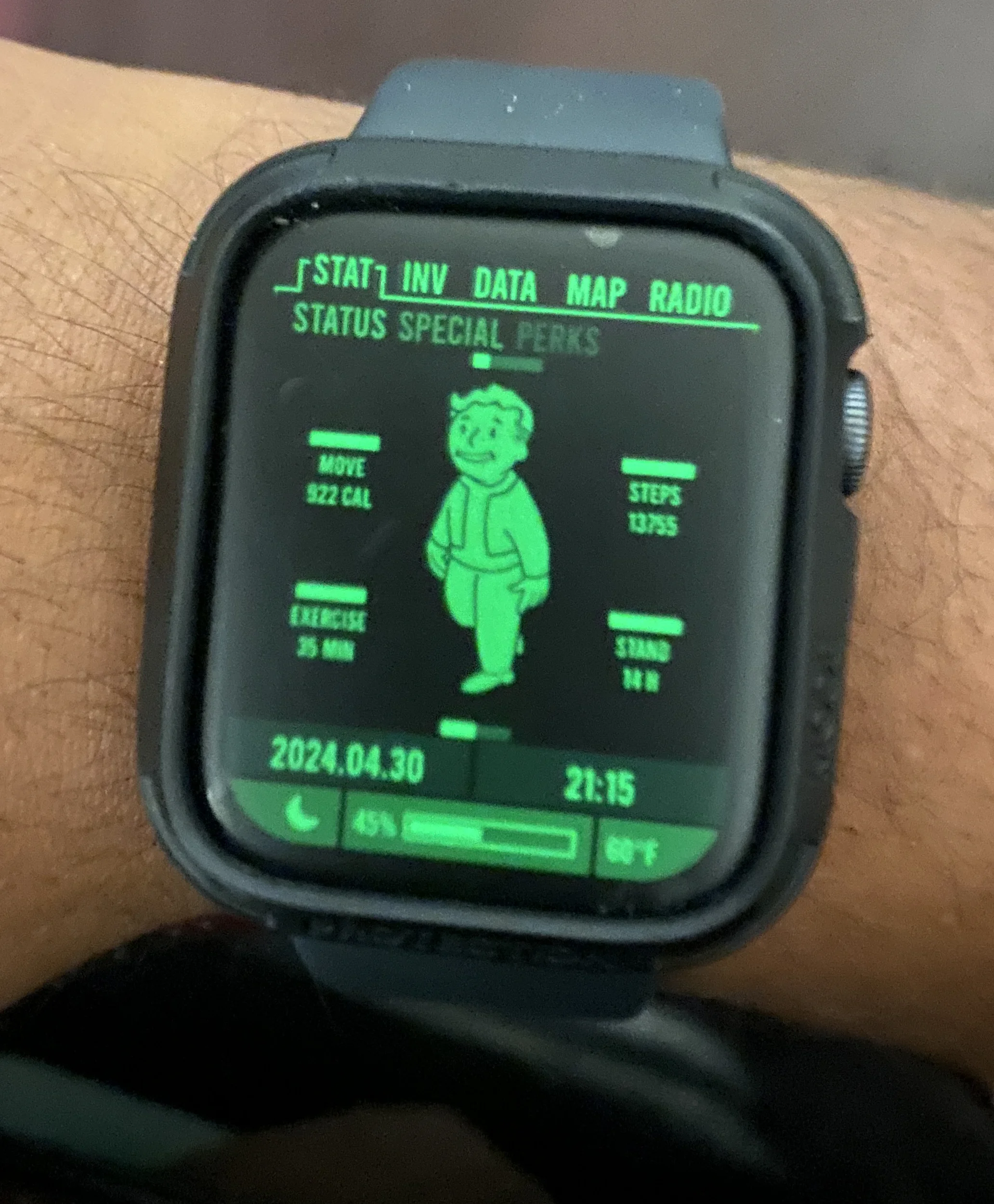 Циферблат Fallout Pip-Boy SE Google plag