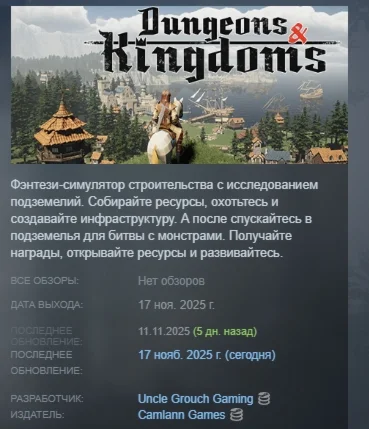 Dungeons & Kingdoms АВТОДОСТАВКА STEAM РОССИЯ