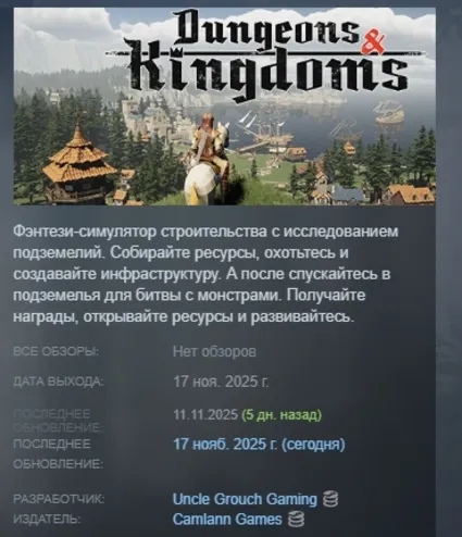 Dungeons  Kingdoms АВТОДОСТАВКА STEAM РОССИЯ