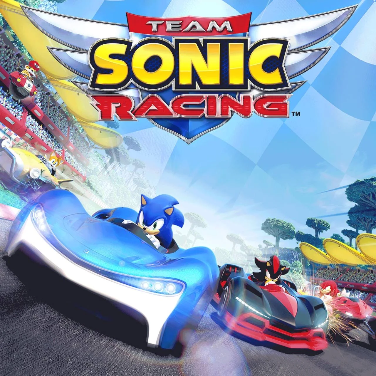  Team Sonic Racing PS4 PS5  П2 П3