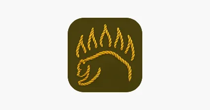 Knot IQ — Основы Bear Google plag
