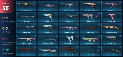 VALORANT 💎 55 скинов | 100 уровень | Полный доступ + 🎁