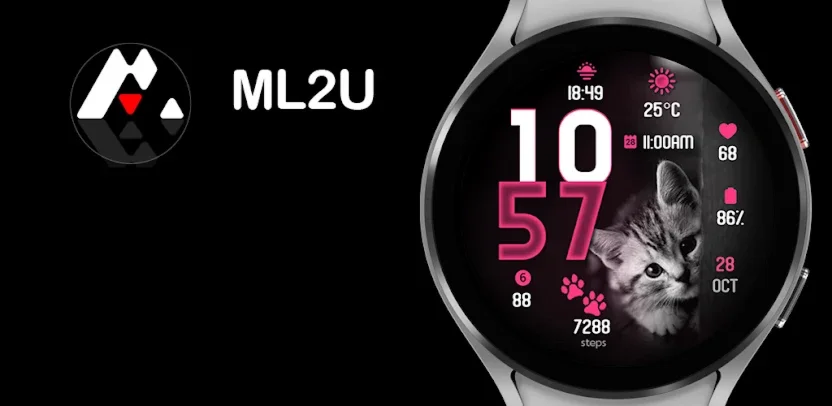 Циферблат ML2U 610 Google plag