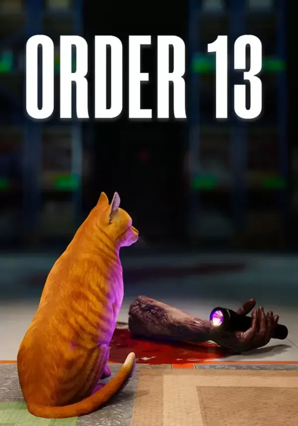 ORDER 13 (STEAM Ключ)