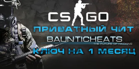 STEELHOOK для Counter-Strike: Global Offensive/1 месяц