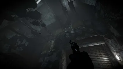 Total Chaos * STEAM RU*KZ*UA*СНГ 🔥