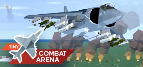 Tiny Combat Arena * STEAM RU  АВТО 0%