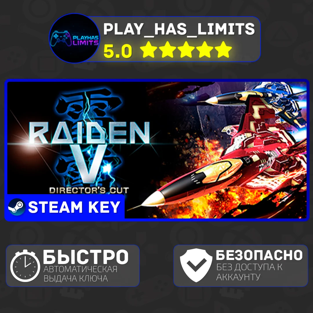 Raiden V: Director's Cut КЛЮЧ STEAM Global + РФ
