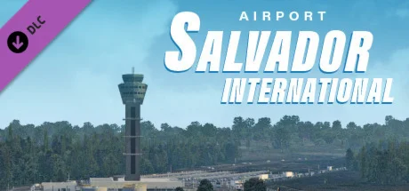 X-Plane 11 - Add-on: Aerosoft - Airport Salvador Intern
